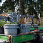 Dumpster Rental For Winter Projects