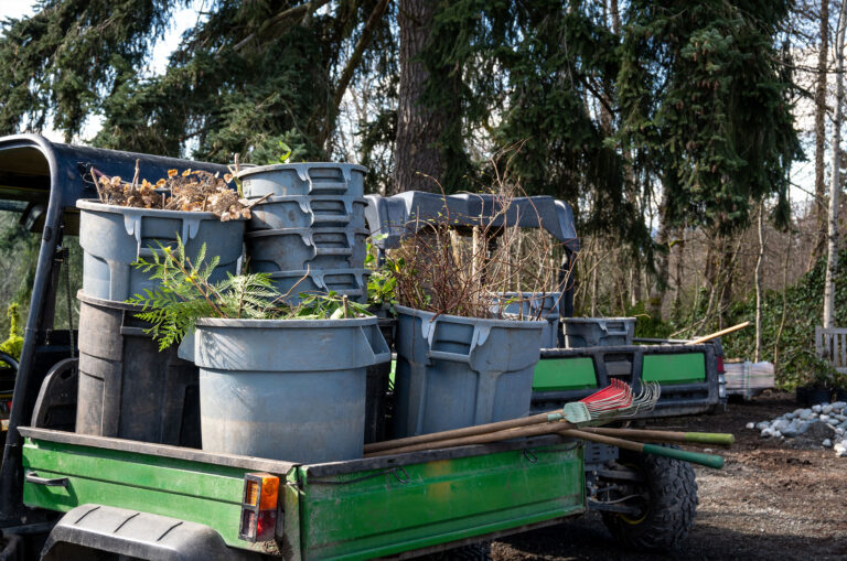 Winter Waste Projects & How a Dumpster Rental Can Help