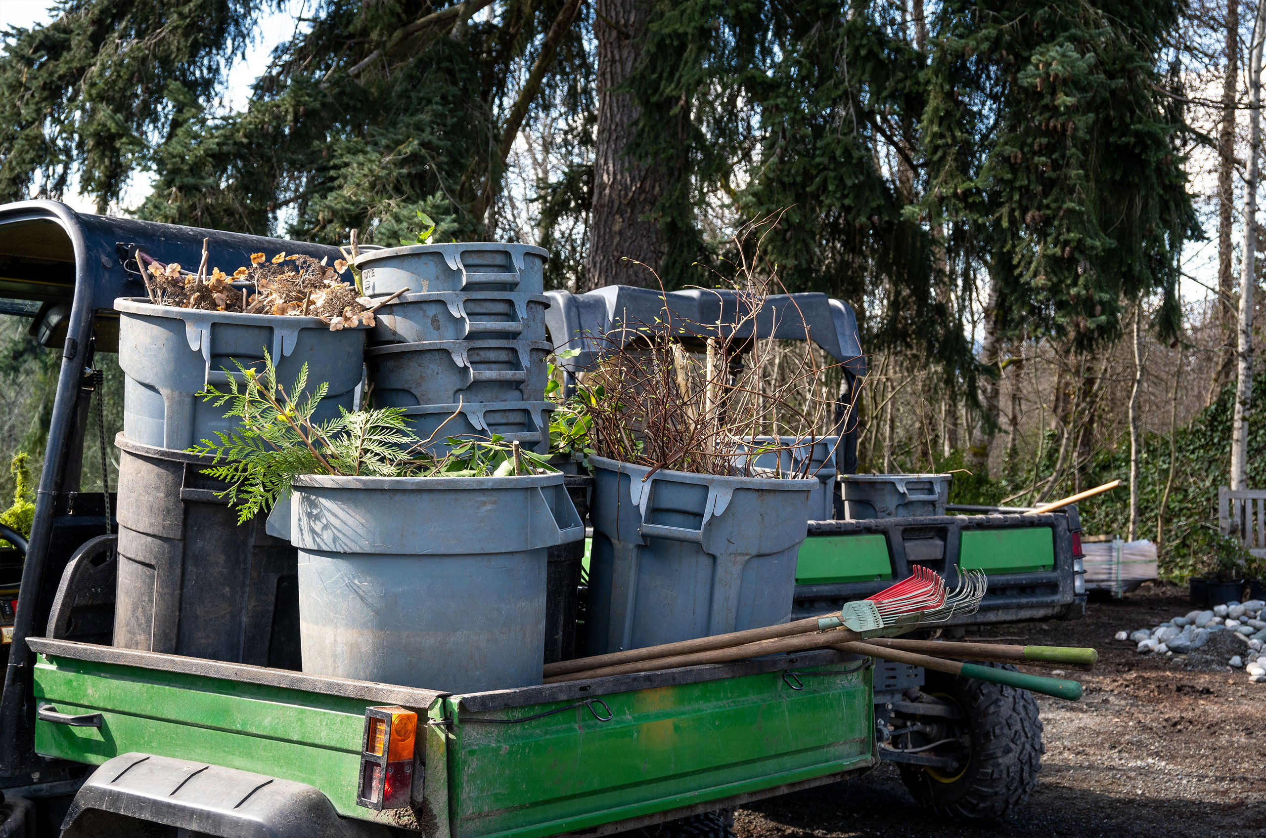 Dumpster Rental For Winter Projects